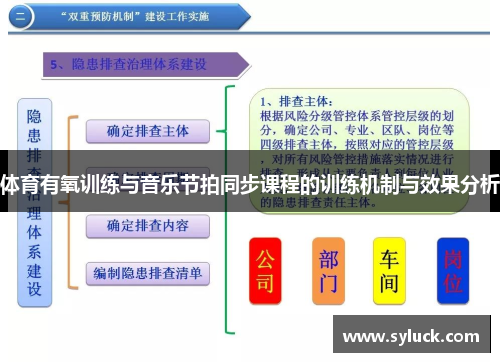 体育有氧训练与音乐节拍同步课程的训练机制与效果分析